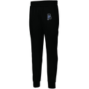 Men's PERFORMANCE FLEECE JOGGER